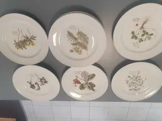 Flora danica tallerkner 13 stk står til 70-100 stk