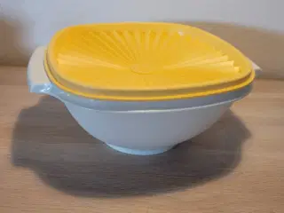 Tupperware Floridaskål