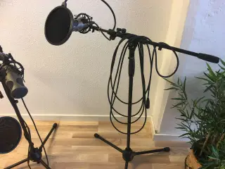 3mikrofoner Pro studio optager suprême