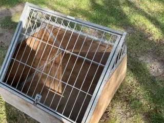 Transportbur hund
