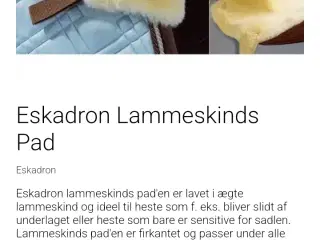 Lammeskind 