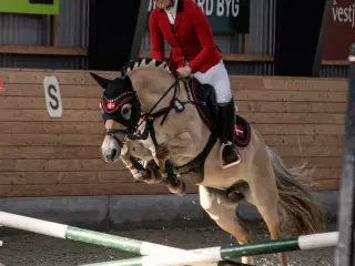 Leder efter en part til min skønne pony!! 
