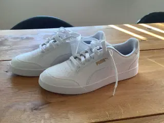 Herre Puma Sko 