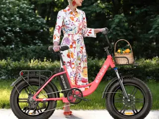 Købes BILLIG Engwe Sambike LS 20 Nyere Velh Kørekl