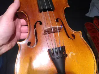 Violin