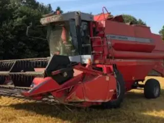 Massey Ferguson 36 DV2