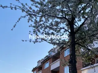 Hjembytte - DronninggårdsAlle