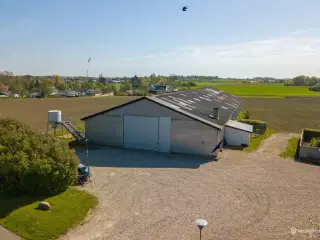 Regulær koldhal
