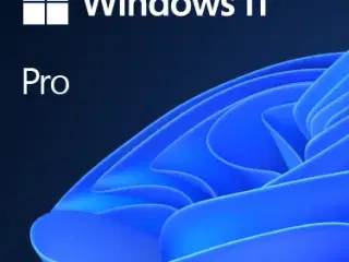 Windows 11 pro