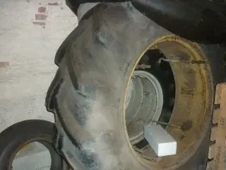 Schaad 