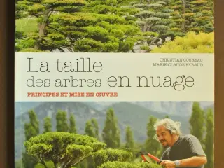 la taille des abres en nuage - principes et mise e