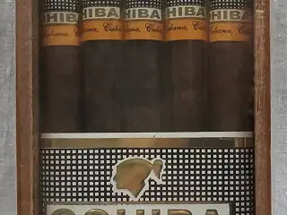 Cohiba, Cubanske cigarer