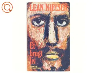 Et brugt liv af Lean Nielsen (bog)
