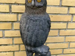 Lokkeugle  skræmmeugle                   