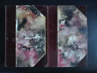 wolfgang goethe 1-2 , af georg brandes