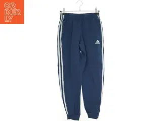 Adidas sweatpants (str. 152 cm)