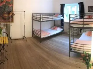 Room in our Co-Living, København N, København