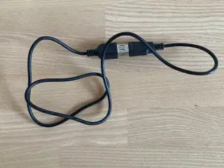 Dataforlængerkabel 