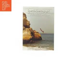 Specialpædagogik (bog)