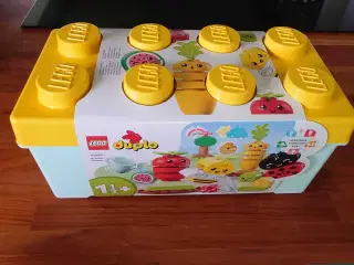 DUBLO +1½ år