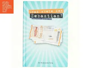 Hvad skete der, Sebastian? af Christoffer Boserup Skov (Bog)