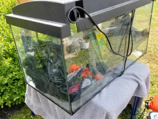 Akvarie med tilbehør og ekstra filter.