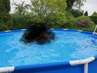 Stor pool 