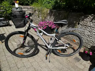 Specialized MTB