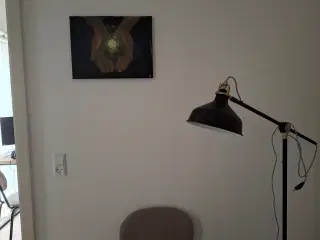 Sometimes all you need is a single seed 