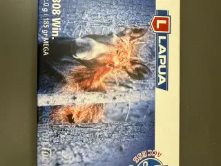 Ammunition 308W
