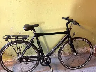 Batavus STRATOS 57 cm 7 Speed