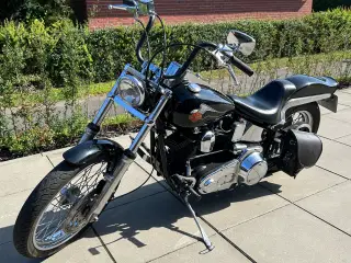 Harley Davidson softail