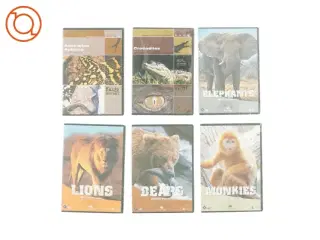Helt nye  DVD&#39;er med forskellige dyr (Stadig i Folie)