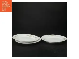 Porcelænstallerkner med guldkant fra Rosenthal (str. Ø. 21 cm. 3 styk)