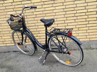 Damecykel SCO Firenze 