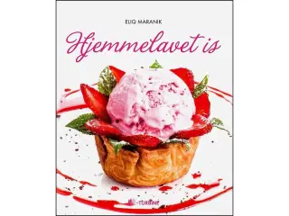 Hjemmelavet Is