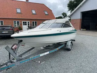 Campion allante 505