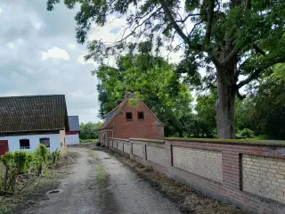 Fritidslandbrug ved  Hjørring/Lørslev med 5,6  ha.