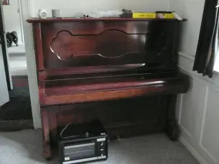 klaver