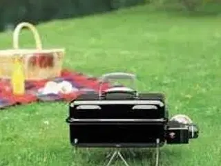 Weber Go Anywhere gasgrill