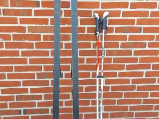 langrendski Fischer