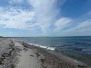 Sommerhus p� dejlig naturgrund p� Sj�llands Odde 250m til kattegat