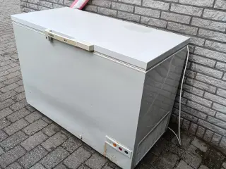 Stor kummefryser 