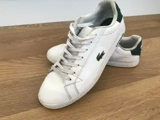 Lacoste sko