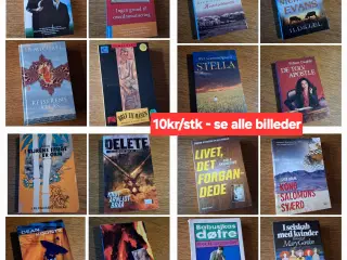 BOG-UDSALG - 10kr/stk. 