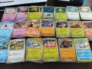 Pokemon bulk