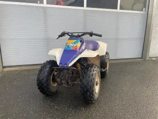 Suzuki QUAD SPORT 80