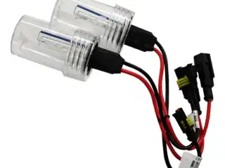 H7 Xenon pære