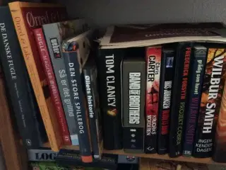 Bøger (mest krimi)