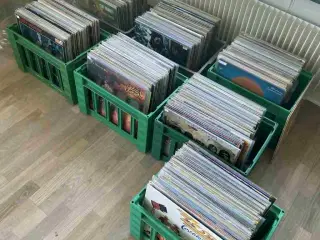 +500 fede LP'er til salg